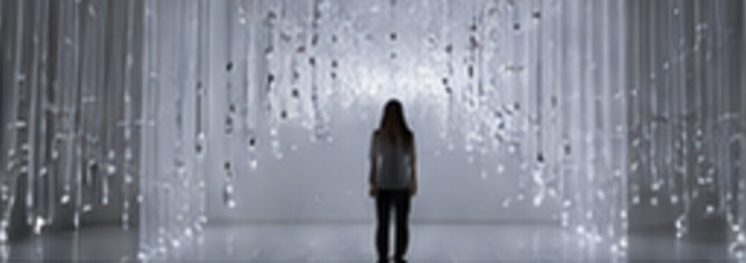 The Human Interface